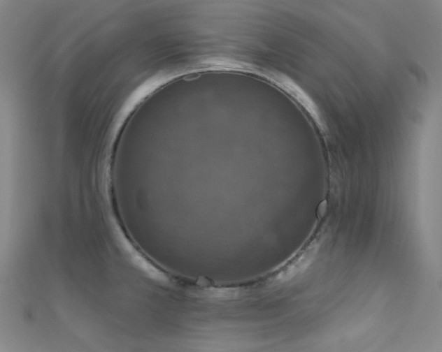 X0000111591381200907161444