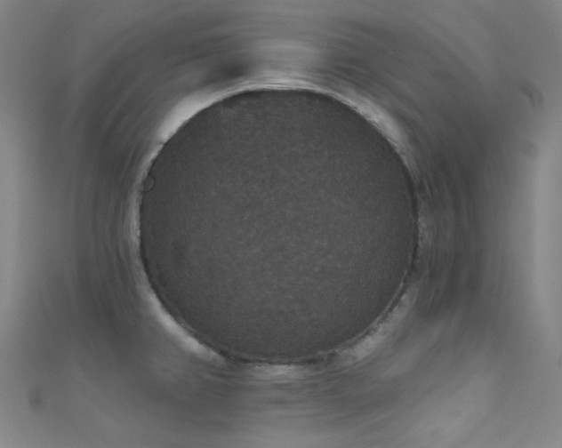 X0000111591382200907161444