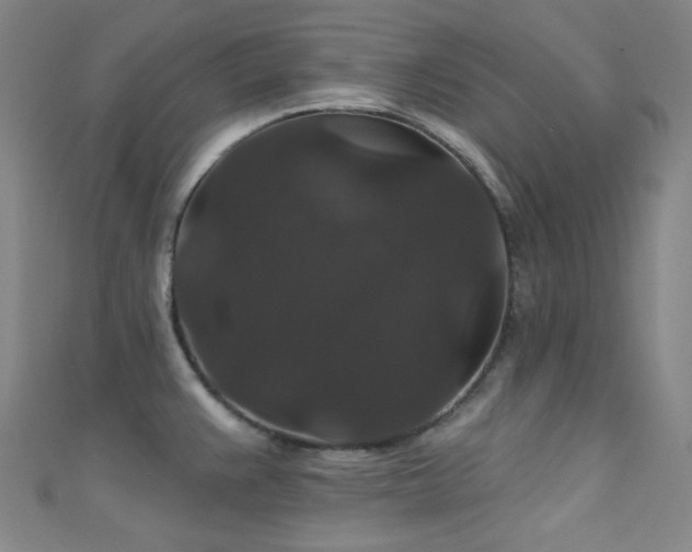 X0000111591383200907161444