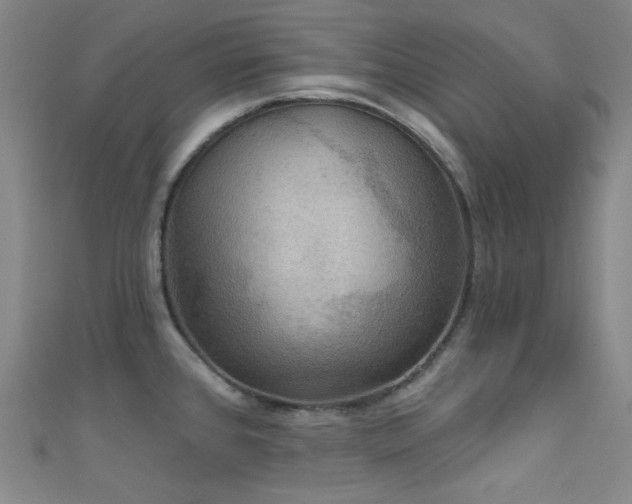 X0000111591384200907161444