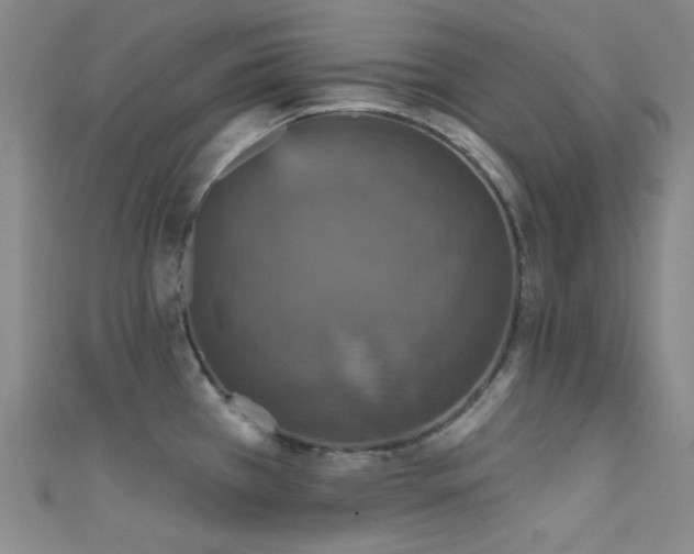 X0000111591385200907161444