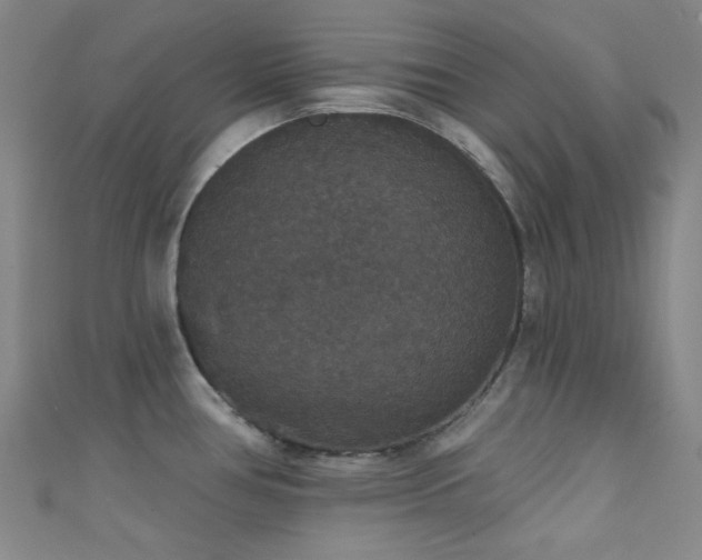 X0000111591386200907161444