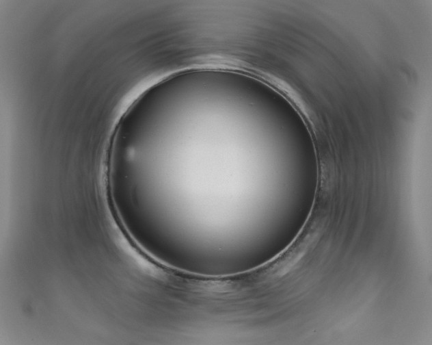 X0000111591387200907161444