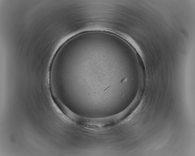 X0000111591388200907161444