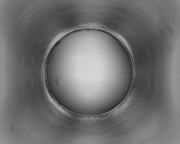 X0000111591389200907161444