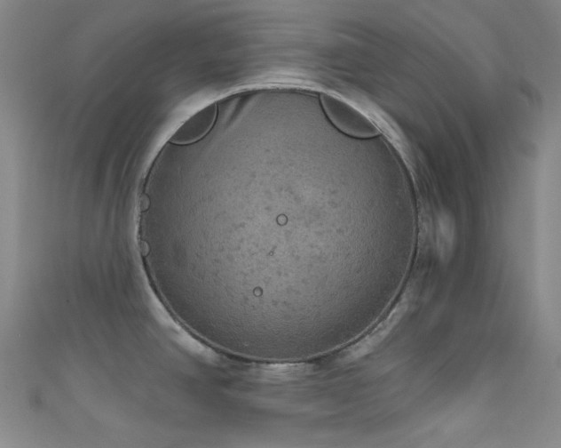 X0000111591390200907161444