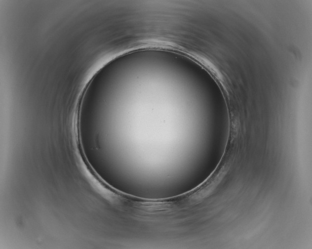 X0000111591391200907161444