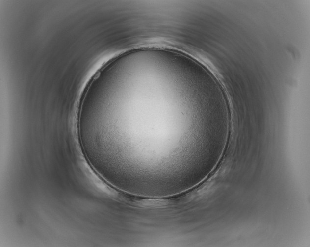 X0000111591392200907161444