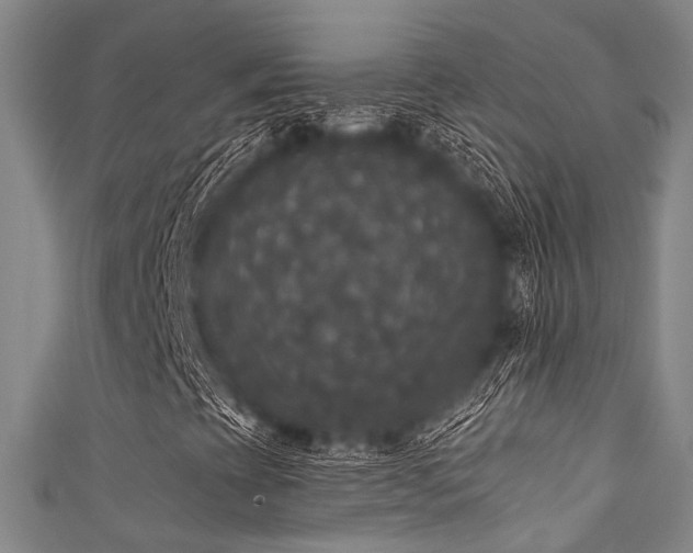 X0000111591393200907161444