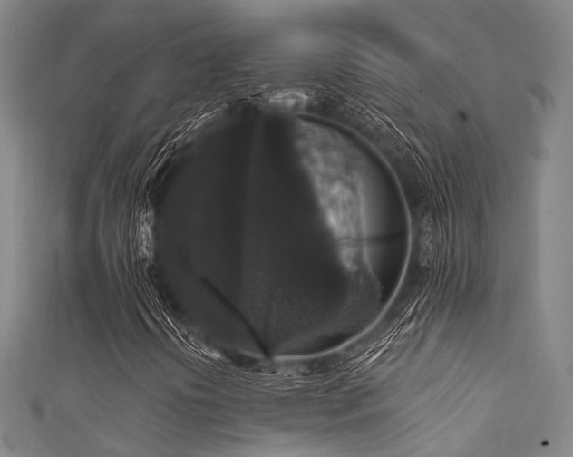 X0000111591394200907161444