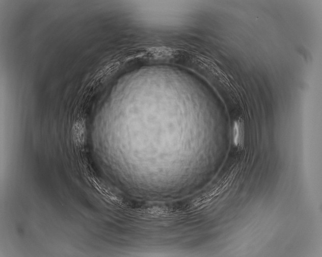 X0000111591395200907161444