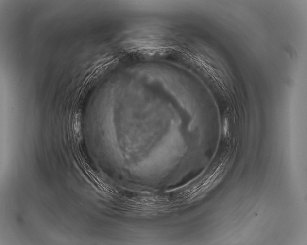 X0000111591396200907161444