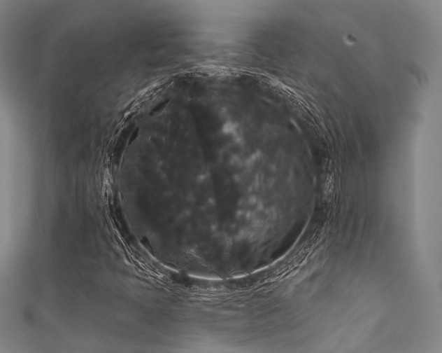 X0000111591397200907161444