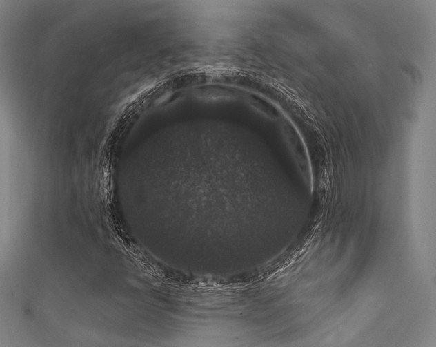 X0000111591398200907161444