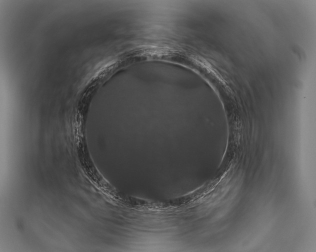 X0000111591399200907161444