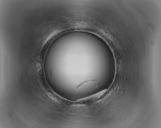 X0000111591400200907161444