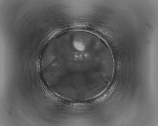 X0000111591401200907161444