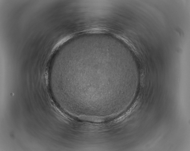 X0000111591402200907161444