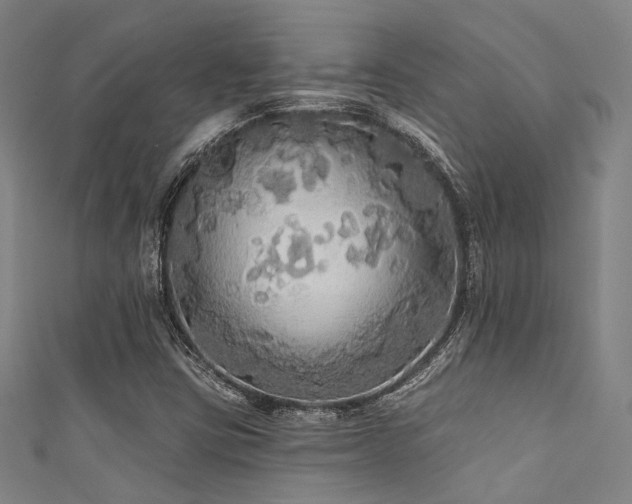 X0000111591403200907161444