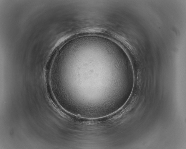 X0000111591404200907161444