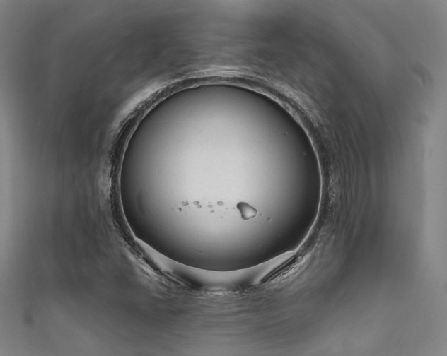 X0000111591406200907161444