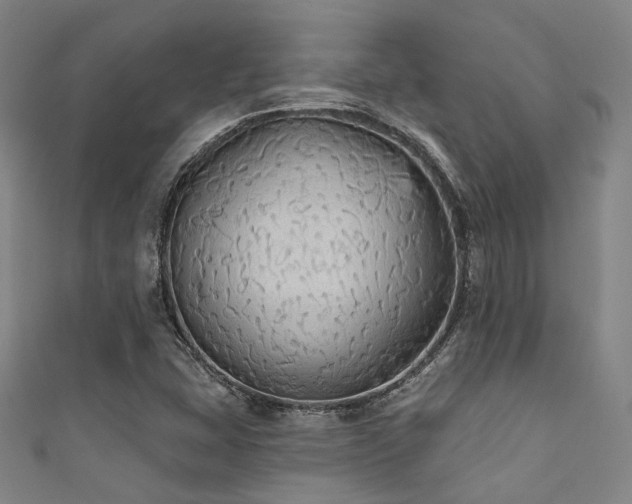 X0000111591407200907161444