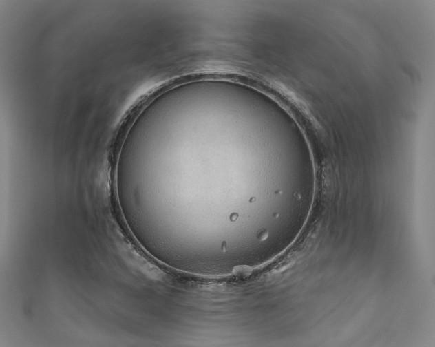 X0000111591408200907161444