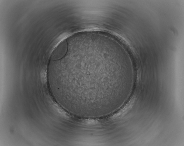 X0000111591409200907161444