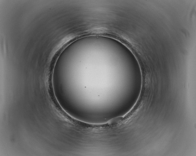 X0000111591410200907161444