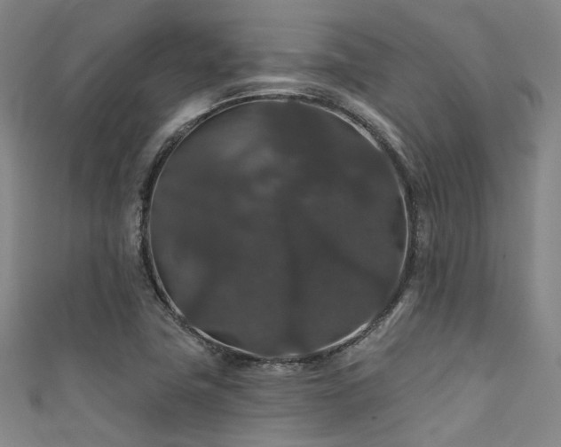 X0000111591411200907161444