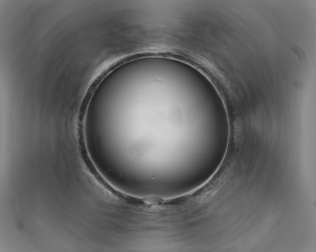 X0000111591412200907161444