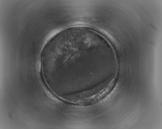 X0000111591413200907161444