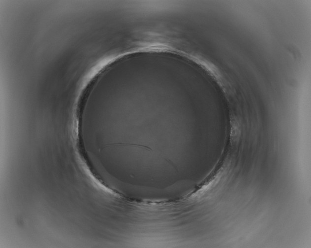 X0000111591414200907161444