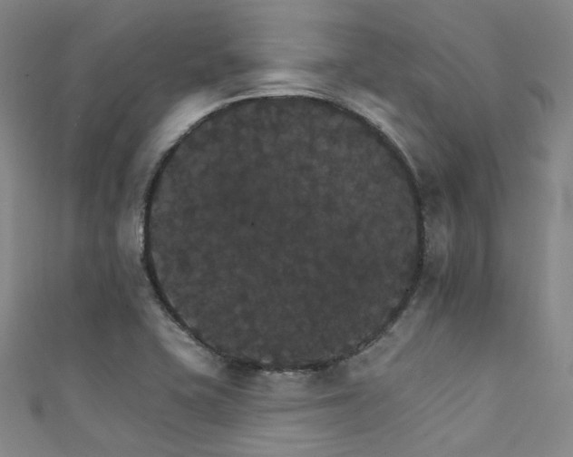 X0000111591415200907161444