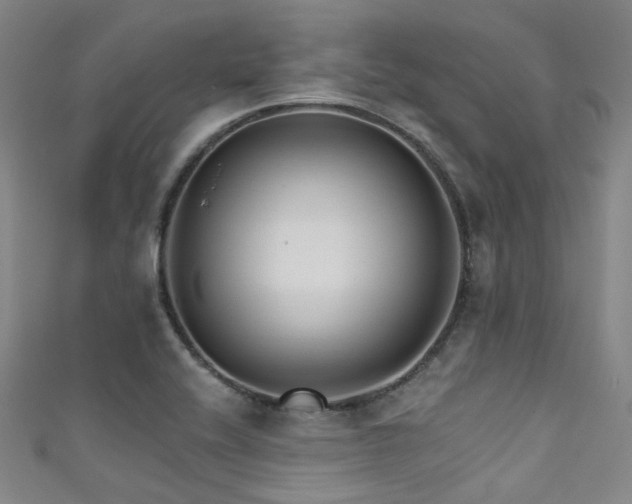 X0000111591416200907161444