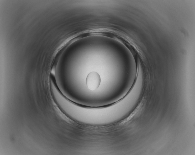 X0000111591417200907161444