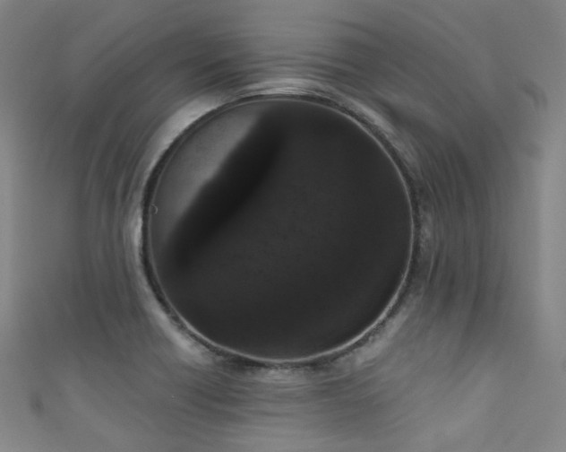 X0000111591418200907161444