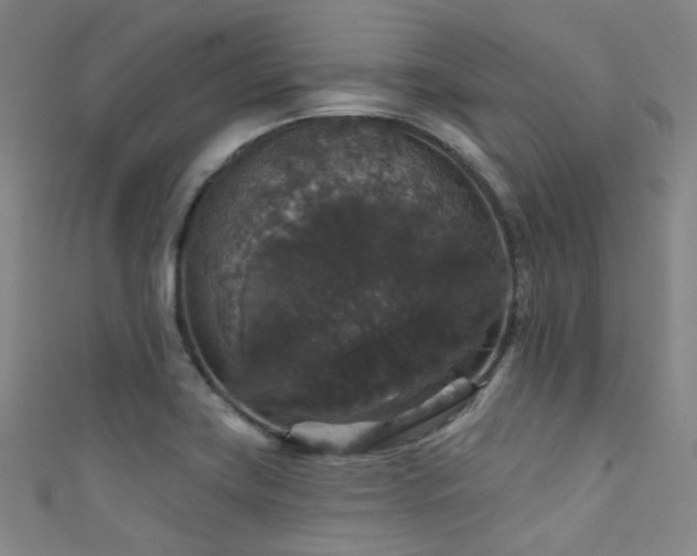 X0000111591419200907161444