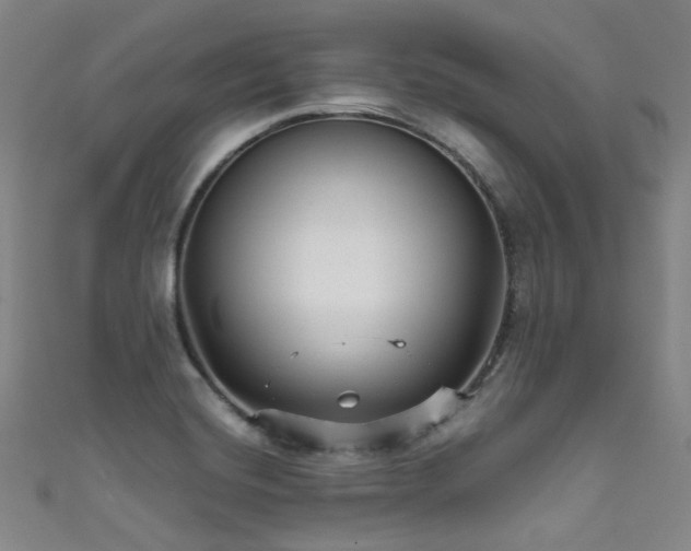 X0000111591420200907161444