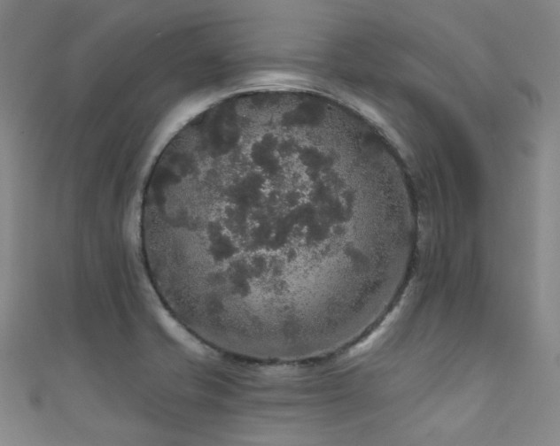 X0000111591421200907161444