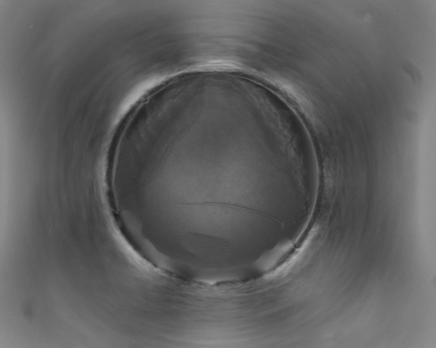 X0000111591422200907161444