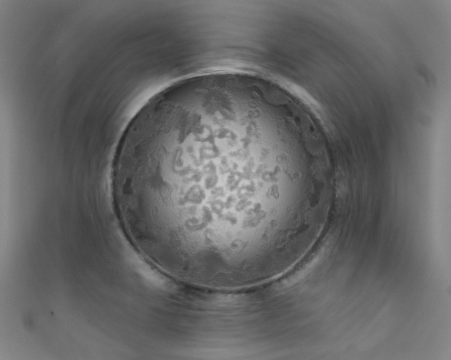 X0000111591423200907161444