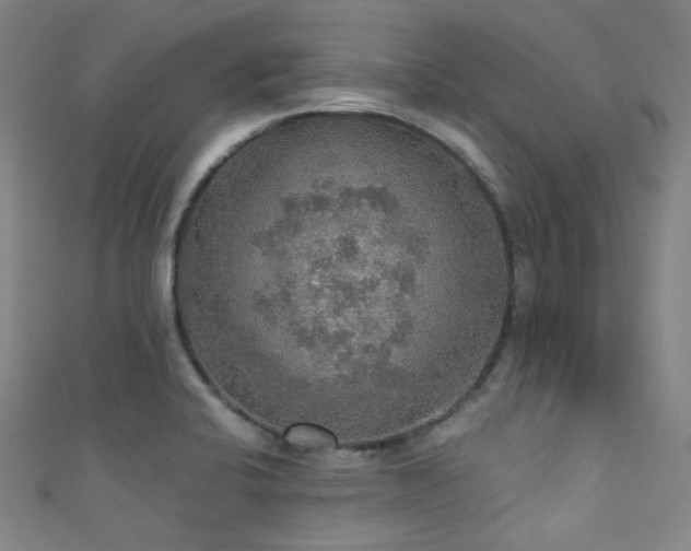 X0000111591424200907161444