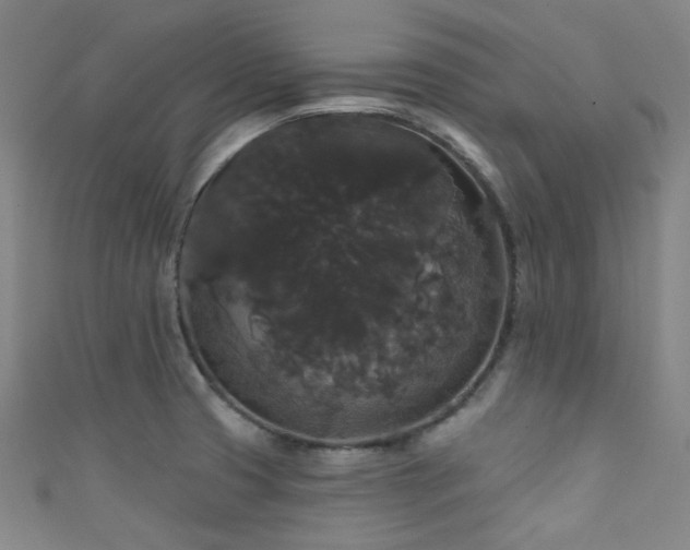 X0000111591425200907161444