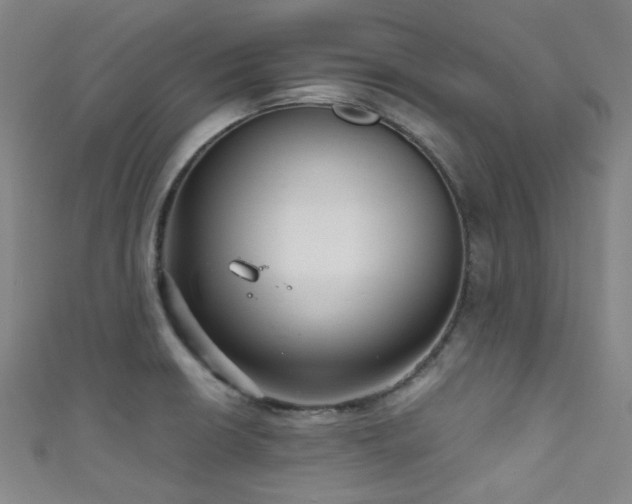 X0000111591426200907161444