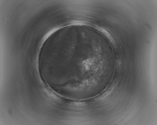 X0000111591427200907161444