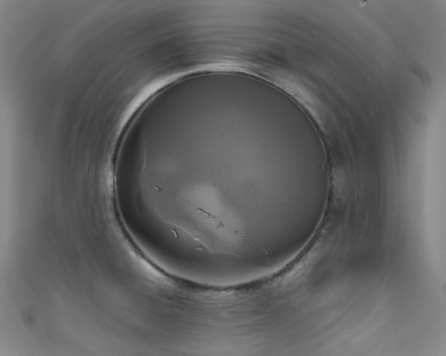 X0000111591428200907161444