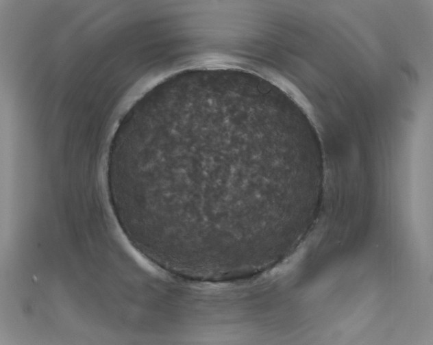 X0000111591429200907161444