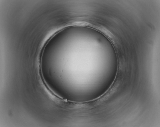 X0000111591430200907161444