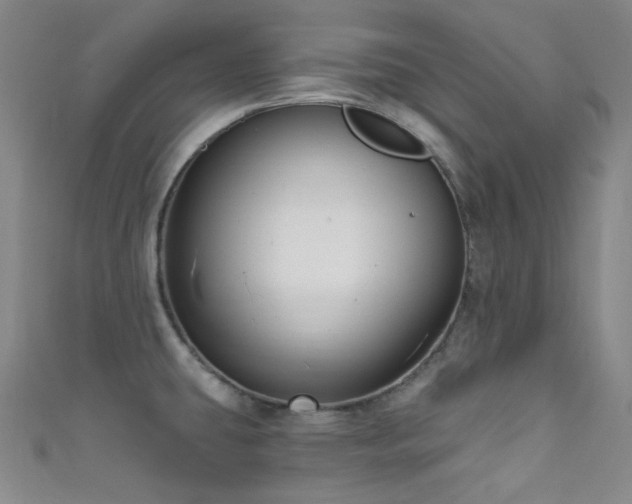 X0000111591431200907161444